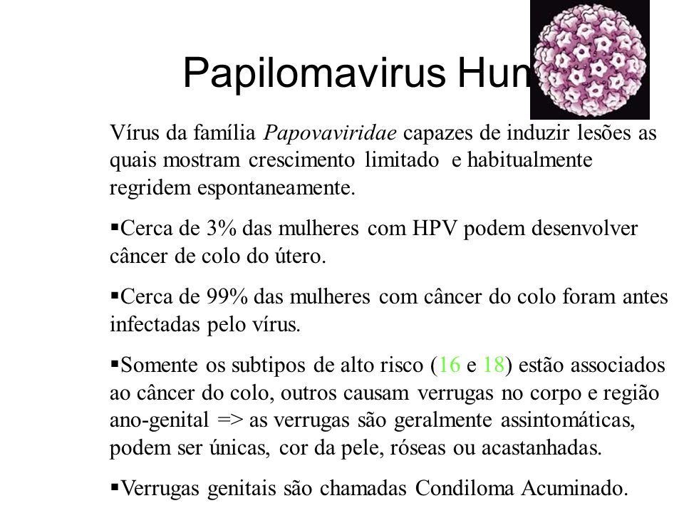 Papilomavirus Humano