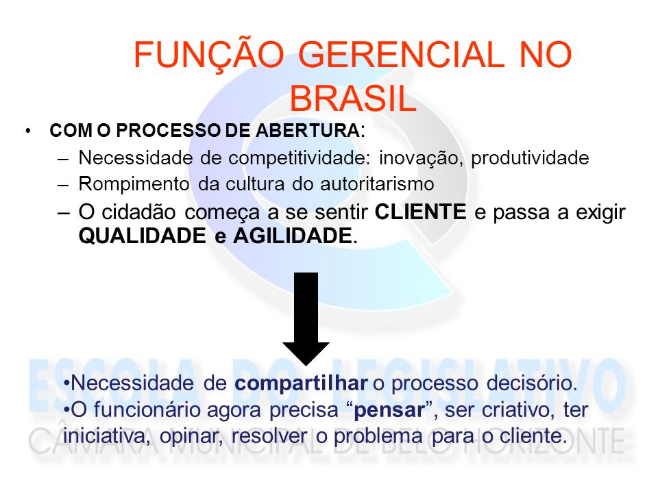 FUNÇÃO GERENCIAL NO BRASIL