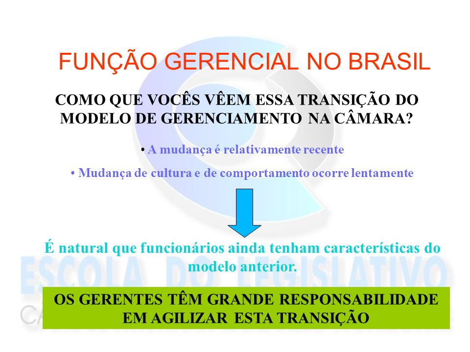 FUNÇÃO GERENCIAL NO BRASIL