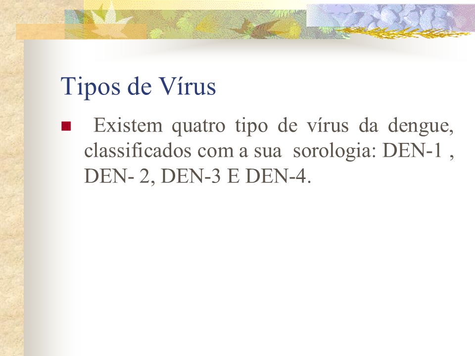 Tipos de Vírus Existem quatro tipo de vírus da dengue, classificados com a sua sorologia: DEN-1 , DEN- 2, DEN-3 E DEN-4.