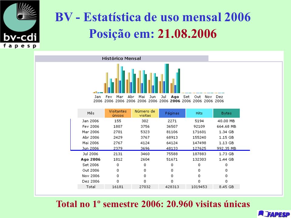 BV - Estatística de uso mensal 2006