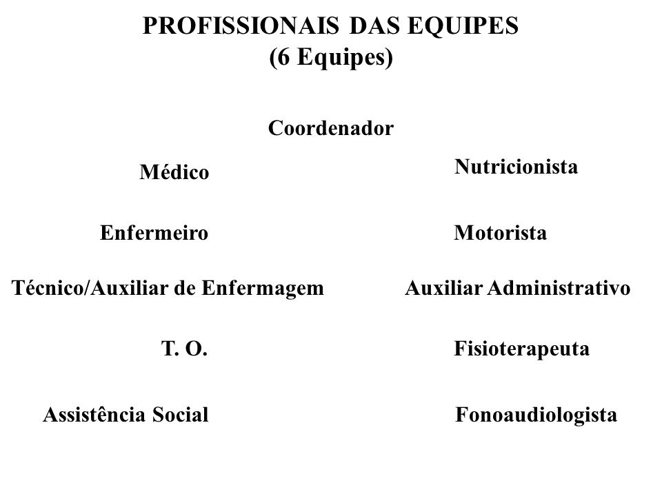 PROFISSIONAIS DAS EQUIPES (6 Equipes)
