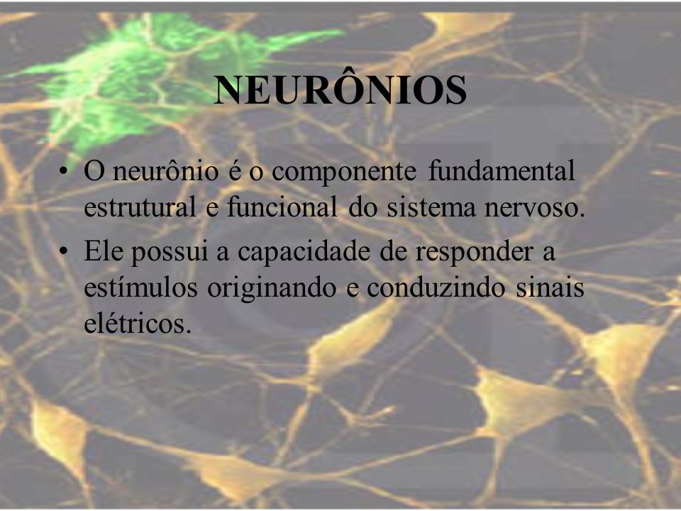 NEURÔNIOS O neurônio é o componente fundamental estrutural e funcional do sistema nervoso.