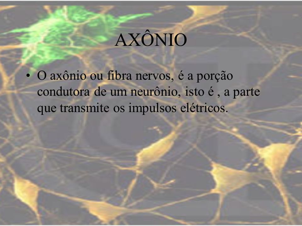 AXÔNIO O axônio ou fibra nervos, é a porção condutora de um neurônio, isto é , a parte que transmite os impulsos elétricos.
