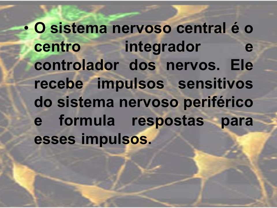 O sistema nervoso central é o centro integrador e controlador dos nervos.