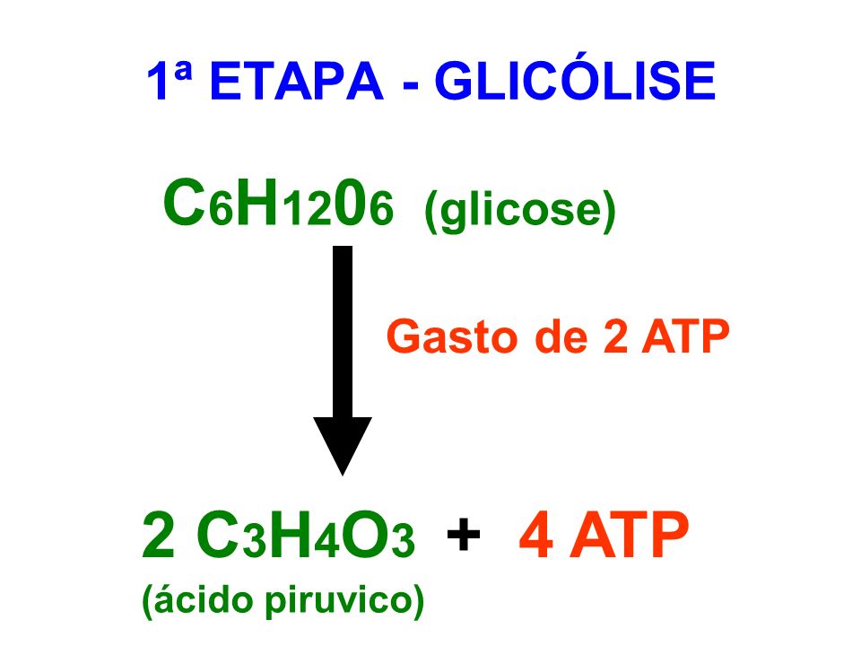 C6H1206 (glicose) 2 C3H4O3 + 4 ATP 1ª ETAPA - GLICÓLISE Gasto de 2 ATP