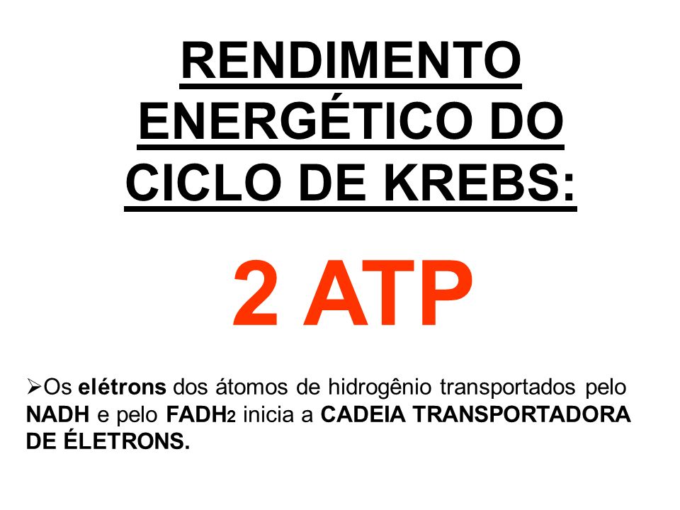 RENDIMENTO ENERGÉTICO DO CICLO DE KREBS: