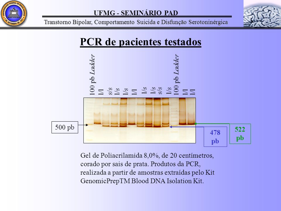 PCR de pacientes testados