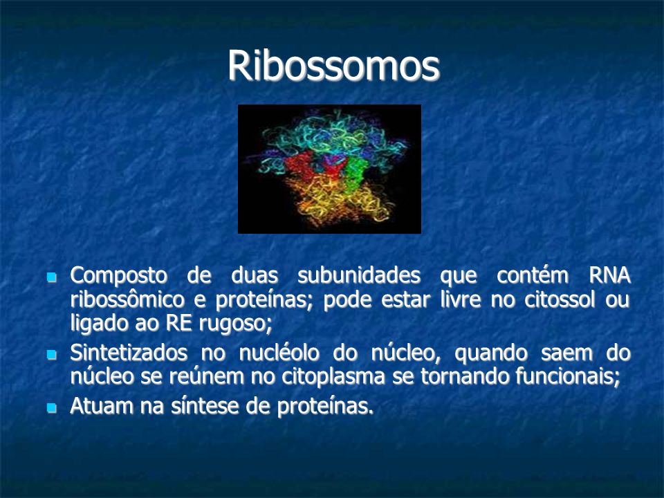Ribossomos Composto de duas subunidades que contém RNA ribossômico e proteínas; pode estar livre no citossol ou ligado ao RE rugoso;