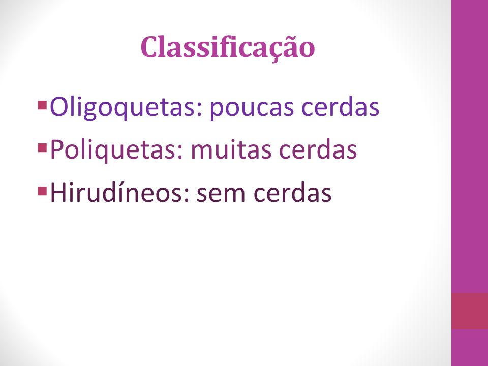 Classificação Oligoquetas: poucas cerdas Poliquetas: muitas cerdas