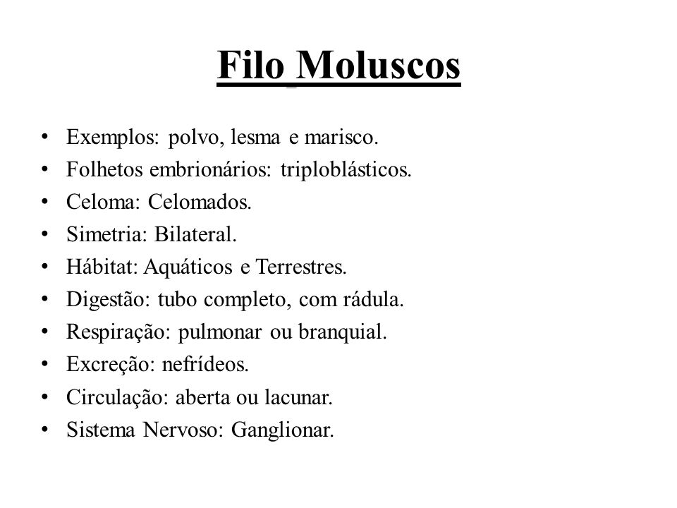 Filo Moluscos Exemplos: polvo, lesma e marisco.