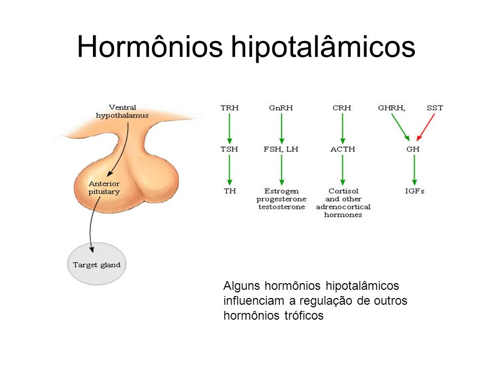 Hormônios hipotalâmicos