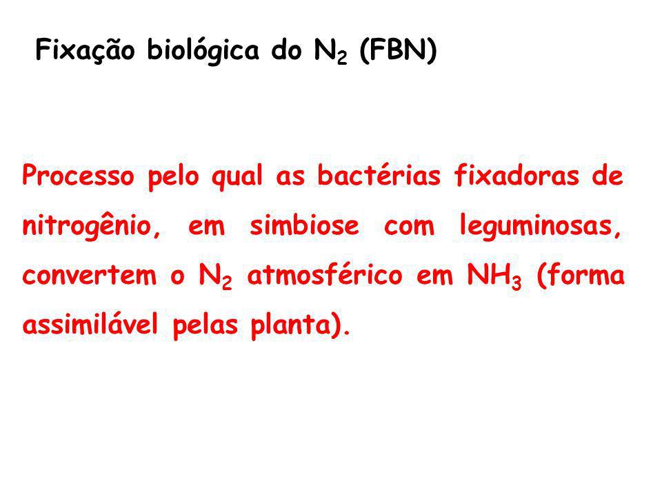 Fixação biológica do N2 (FBN)