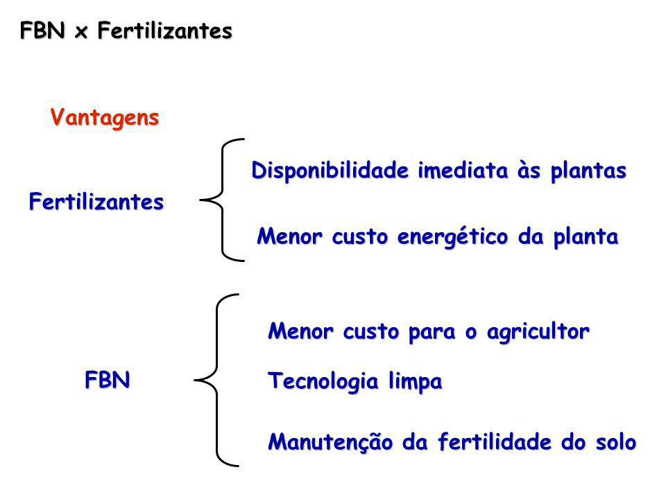 FBN x Fertilizantes Vantagens. Disponibilidade imediata às plantas. Fertilizantes. Menor custo energético da planta.