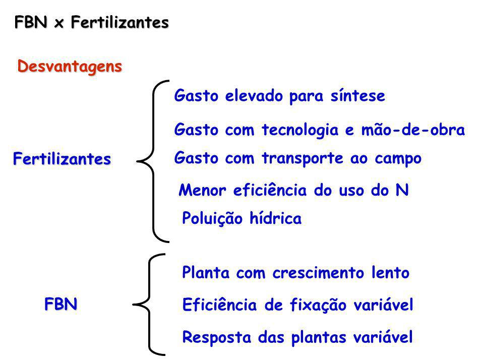 FBN x Fertilizantes Desvantagens. Gasto elevado para síntese. Gasto com tecnologia e mão-de-obra.