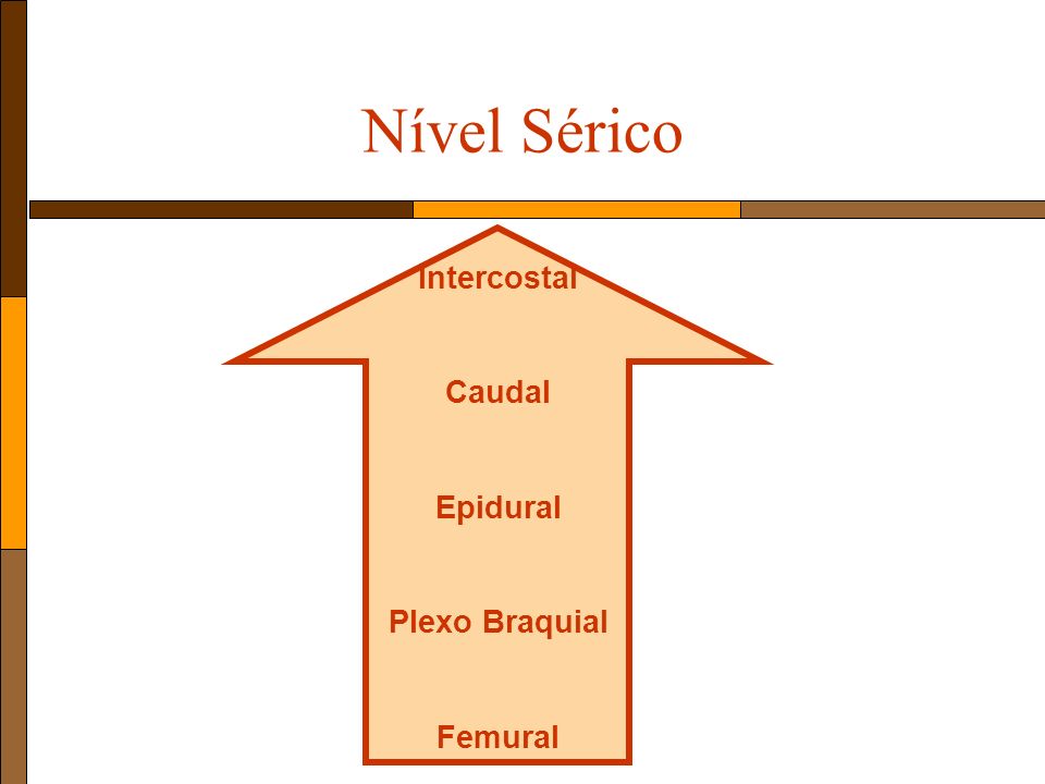 Nível Sérico Intercostal Caudal Epidural Plexo Braquial Femural