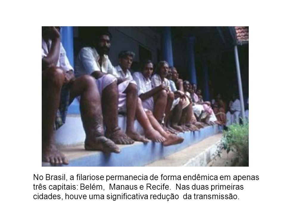 No Brasil, a filariose permanecia de forma endêmica em apenas três capitais: Belém, Manaus e Recife.