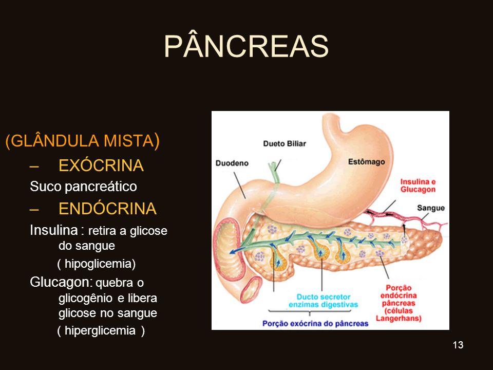 PÂNCREAS (GLÂNDULA MISTA) EXÓCRINA ENDÓCRINA Suco pancreático