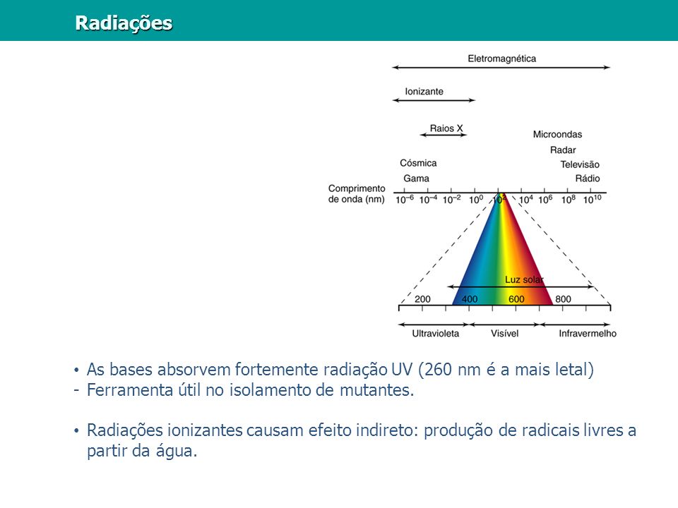 Radiações As bases absorvem fortemente radiação UV (260 nm é a mais letal) Ferramenta útil no isolamento de mutantes.