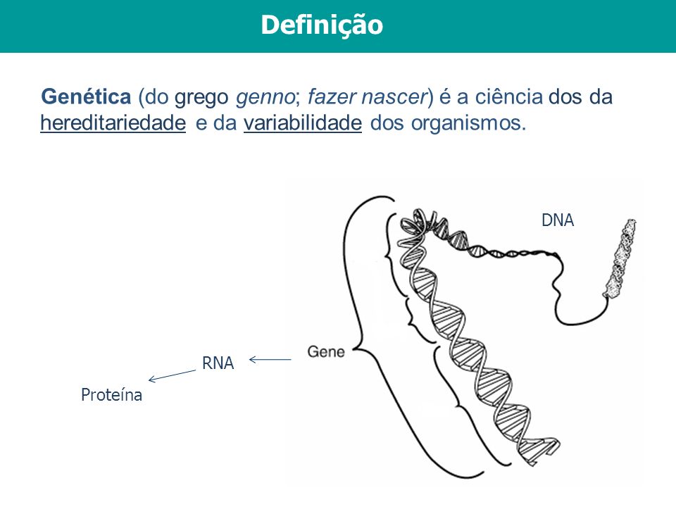 Definição Genética (do grego genno; fazer nascer) é a ciência dos da hereditariedade e da variabilidade dos organismos.