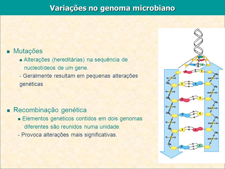 Variações no genoma microbiano