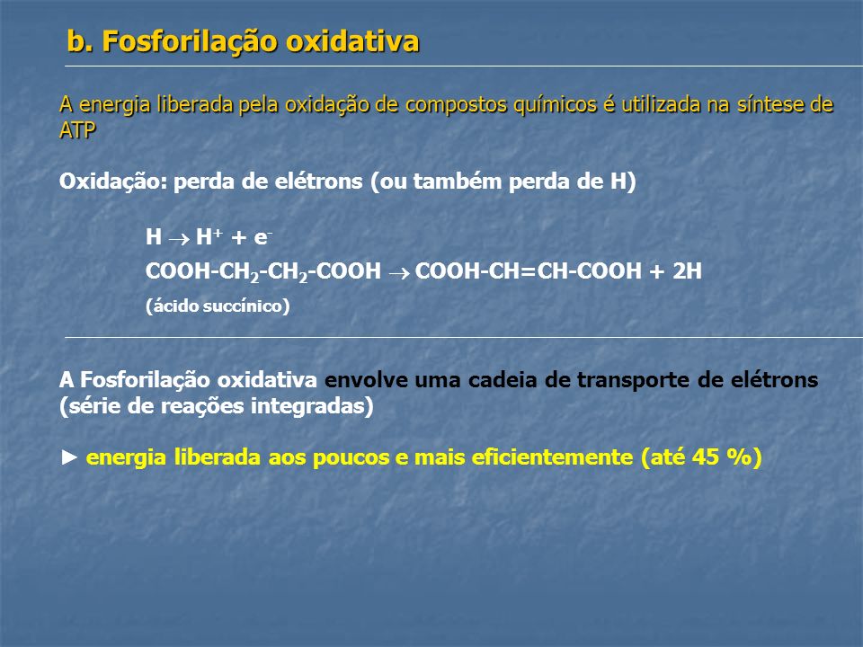 b. Fosforilação oxidativa