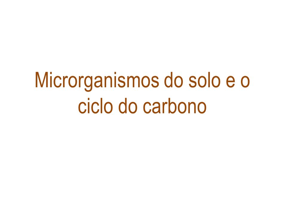 Microrganismos do solo e o ciclo do carbono