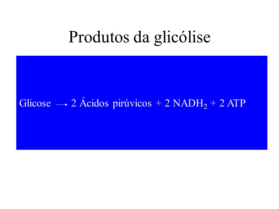 Produtos da glicólise Glicose 2 Ácidos pirúvicos + 2 NADH2 + 2 ATP