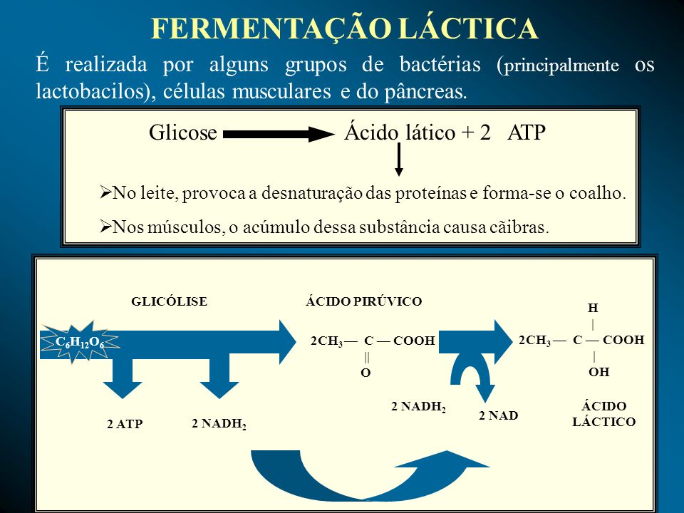 Glicose Ácido lático + 2 ATP