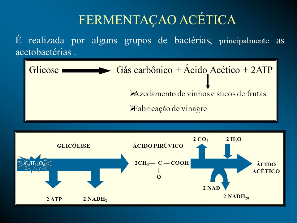 Glicose Gás carbônico + Ácido Acético + 2ATP