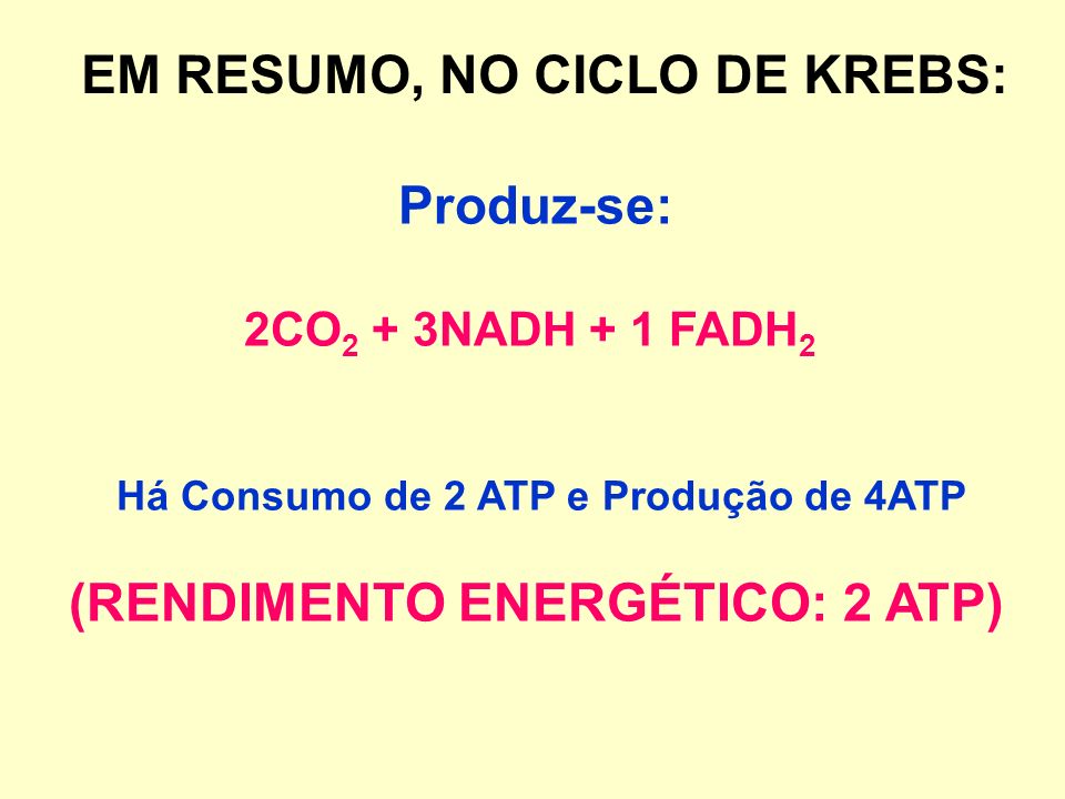 Há Consumo de 2 ATP e Produção de 4ATP (RENDIMENTO ENERGÉTICO: 2 ATP)