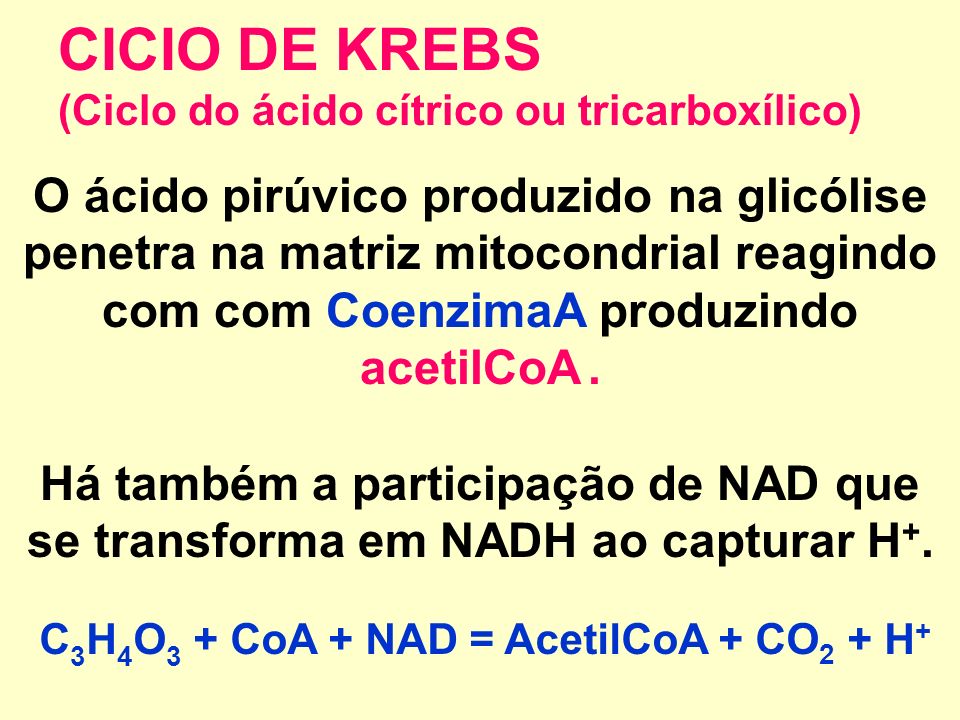 CICIO DE KREBS (Ciclo do ácido cítrico ou tricarboxílico)
