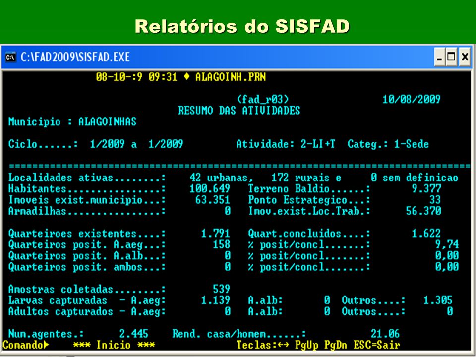 Relatórios do SISFAD