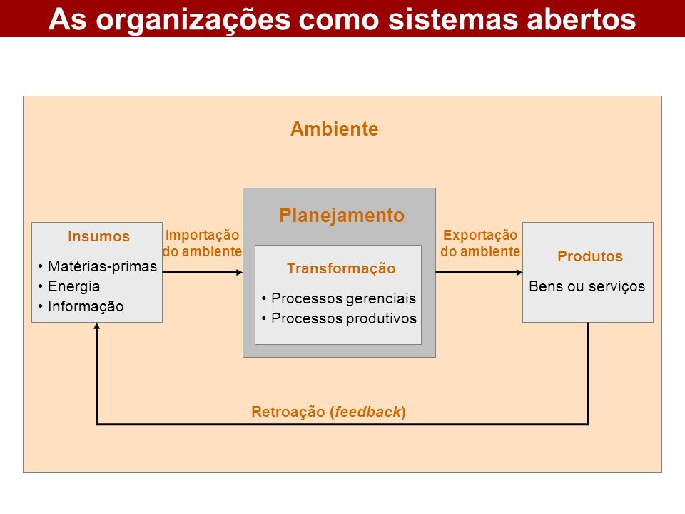 As organizações como sistemas abertos