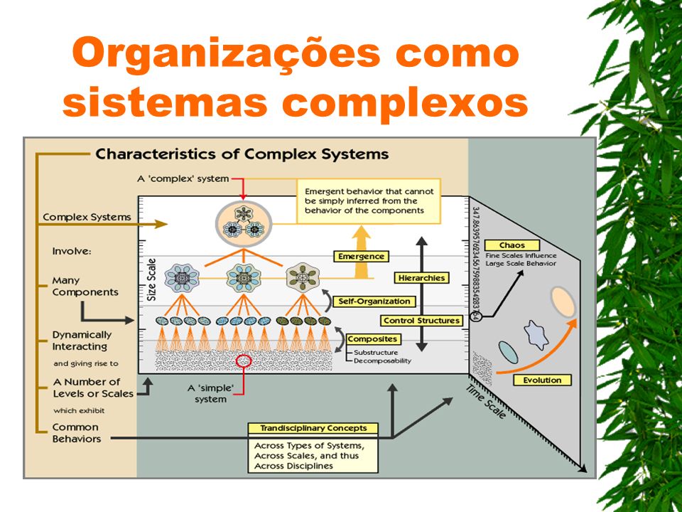 Organizações como sistemas complexos