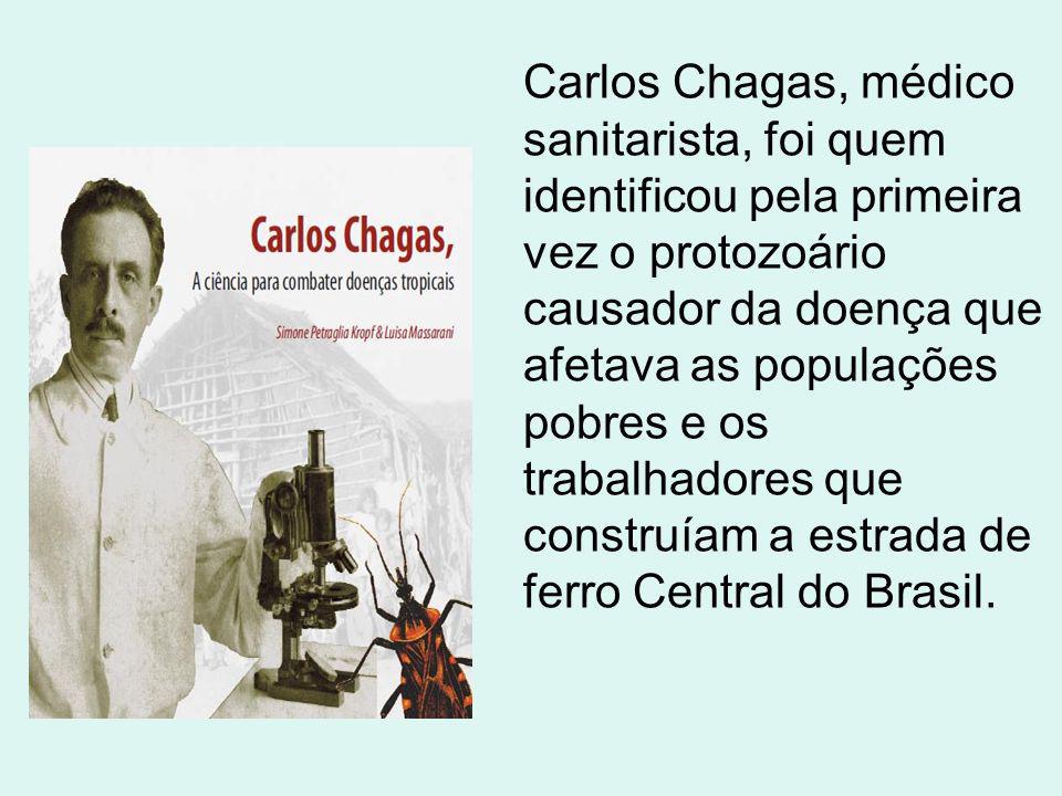 Carlos Chagas, médico sanitarista, foi quem identificou pela primeira vez o protozoário causador da doença que afetava as populações pobres e os trabalhadores que construíam a estrada de ferro Central do Brasil.