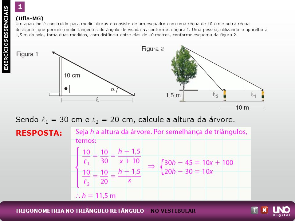 Sendo l1 = 30 cm e l2 = 20 cm, calcule a altura da árvore.