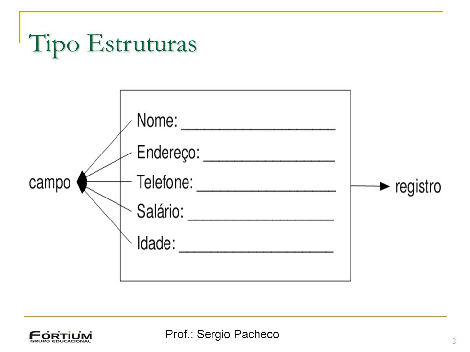 Tipo Estruturas Prof.: Sergio Pacheco 3 3