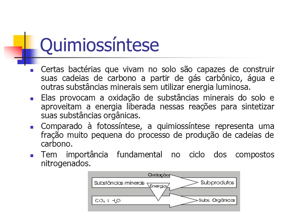 Quimiossíntese