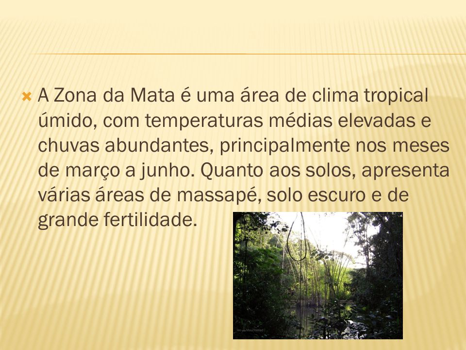 A Zona da Mata é uma área de clima tropical úmido, com temperaturas médias elevadas e chuvas abundantes, principalmente nos meses de março a junho.