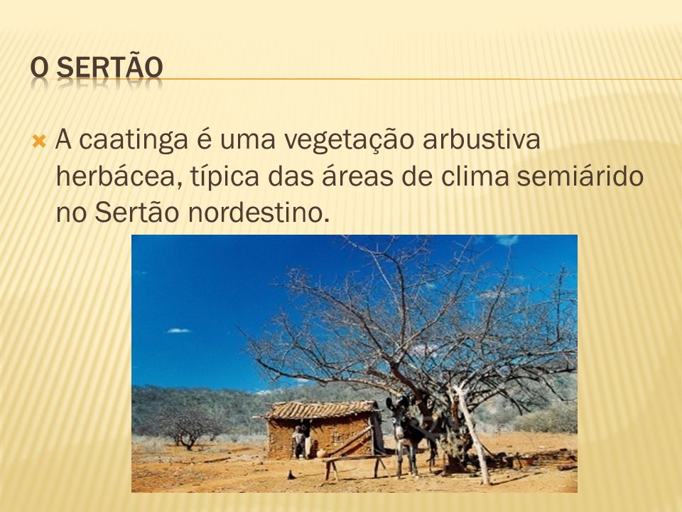 O SERTÃO A caatinga é uma vegetação arbustiva herbácea, típica das áreas de clima semiárido no Sertão nordestino.
