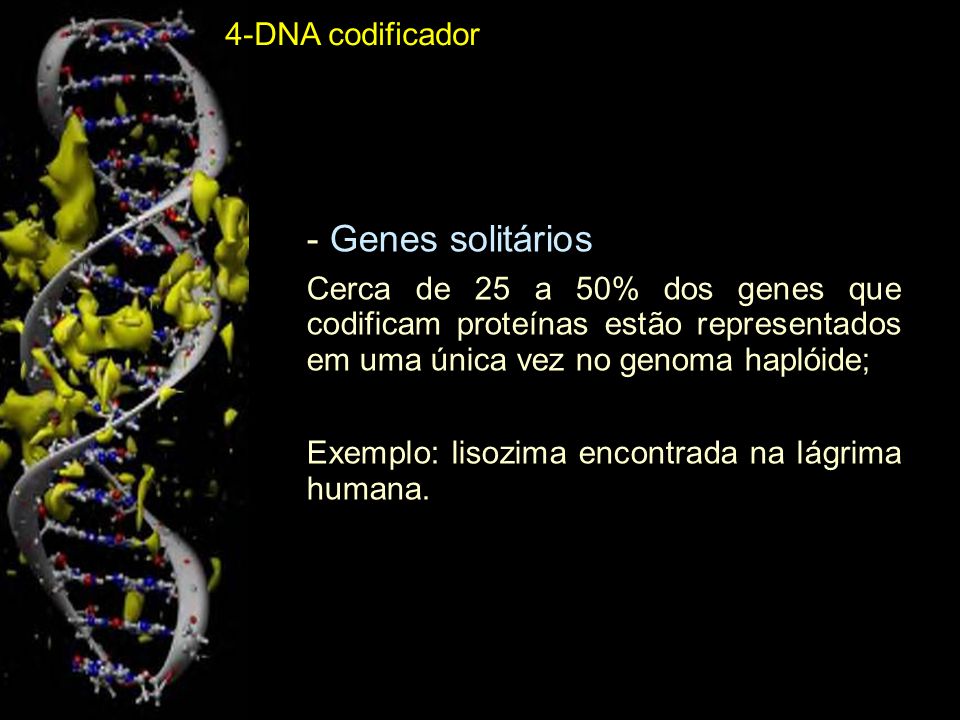 - Genes solitários 4-DNA codificador