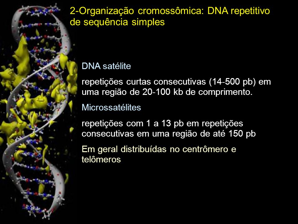 2-Organização cromossômica: DNA repetitivo de sequência simples