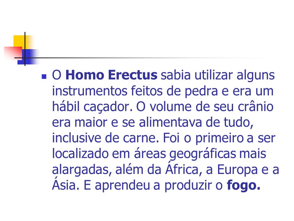 O Homo Erectus sabia utilizar alguns instrumentos feitos de pedra e era um hábil caçador.