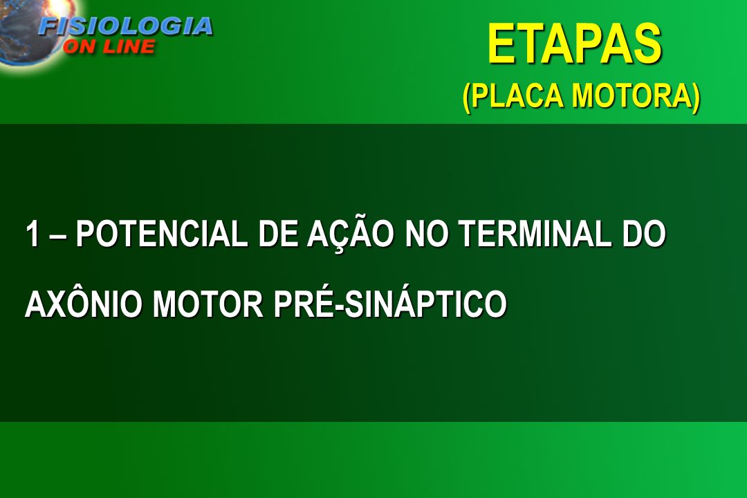 ETAPAS (PLACA MOTORA) 1 – POTENCIAL DE AÇÃO NO TERMINAL DO AXÔNIO MOTOR PRÉ-SINÁPTICO