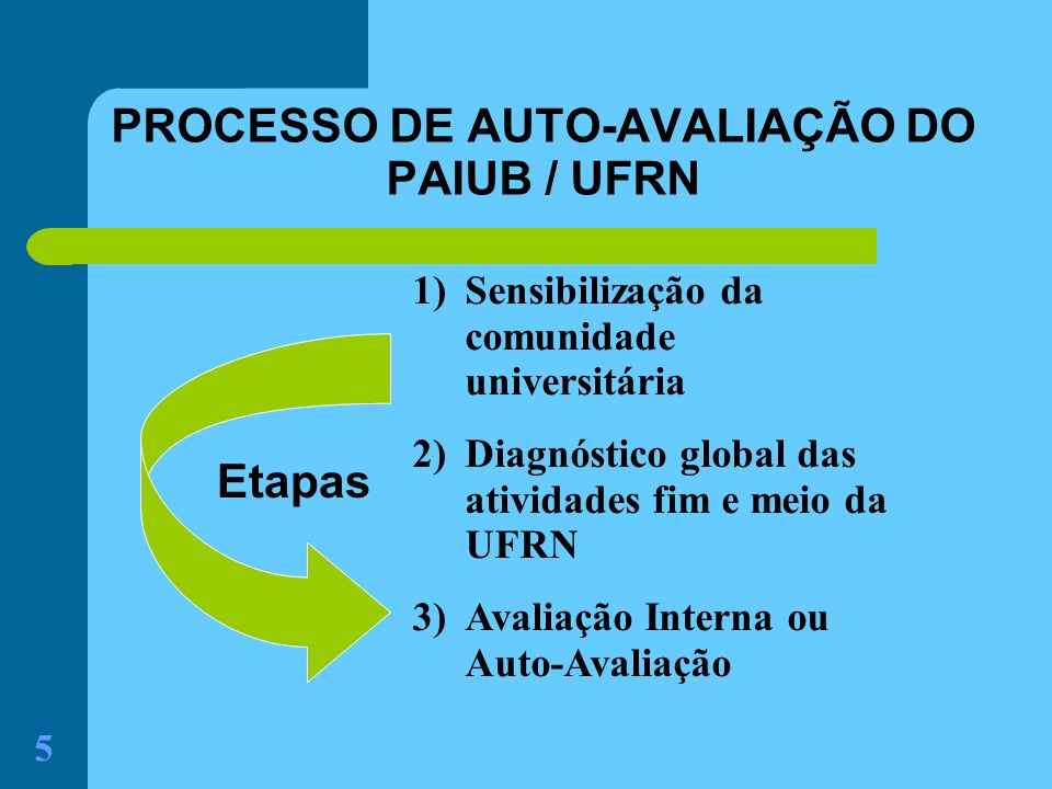 PROCESSO DE AUTO-AVALIAÇÃO DO PAIUB / UFRN