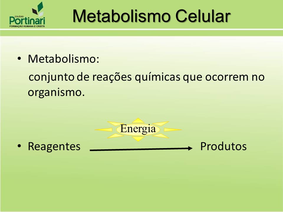 Metabolismo Celular Metabolismo: