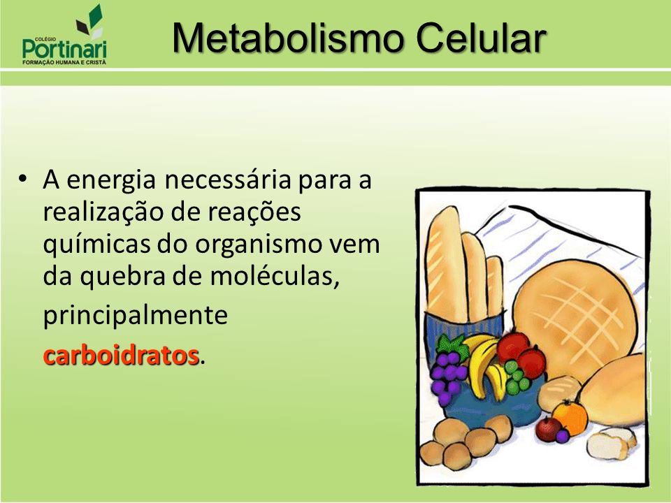 Metabolismo Celular A energia necessária para a realização de reações químicas do organismo vem da quebra de moléculas,