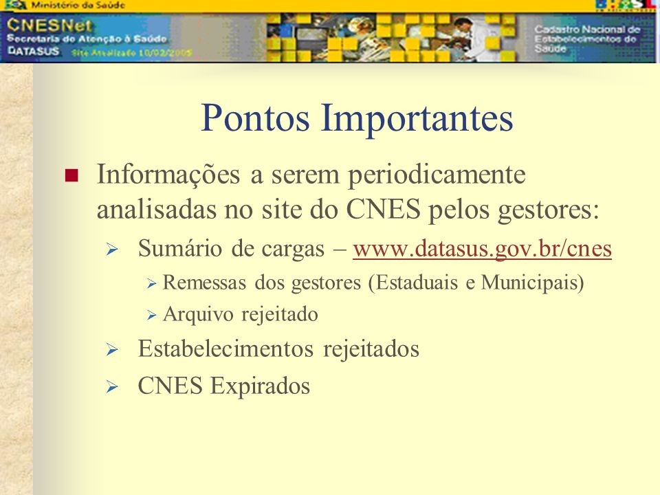 Pontos Importantes Informações a serem periodicamente analisadas no site do CNES pelos gestores: Sumário de cargas –