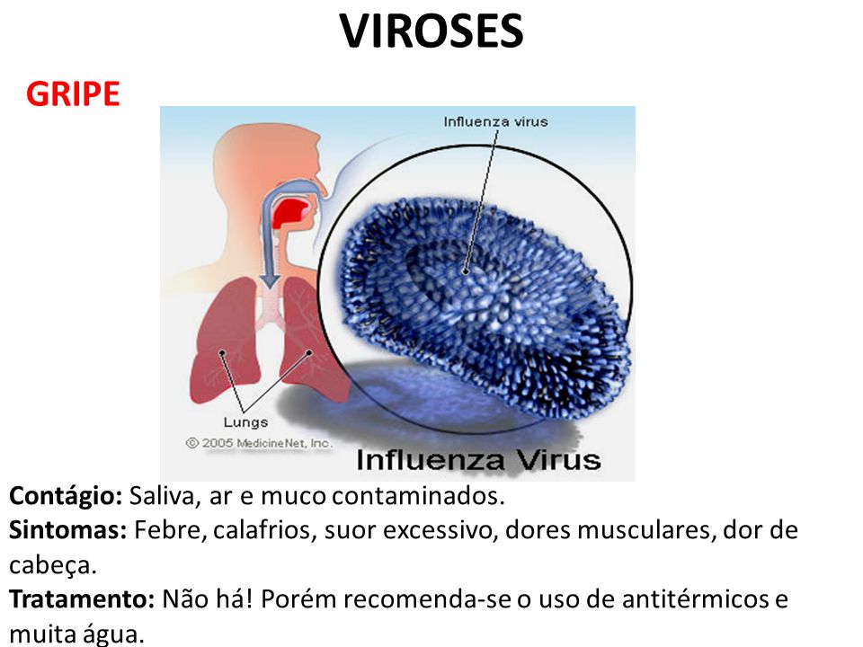 VIROSES GRIPE Contágio: Saliva, ar e muco contaminados.